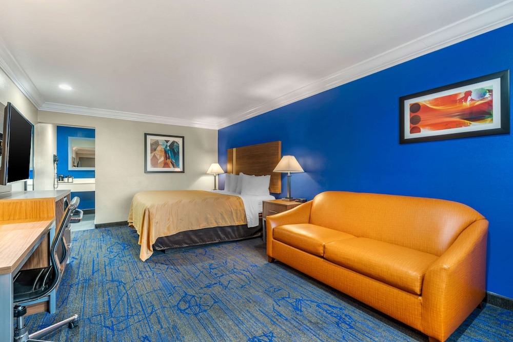 Studio Suite, 1 King Bed photo 3