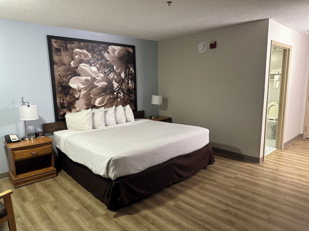 Room, 1 King Bed, Accessible, Smoking photo 2