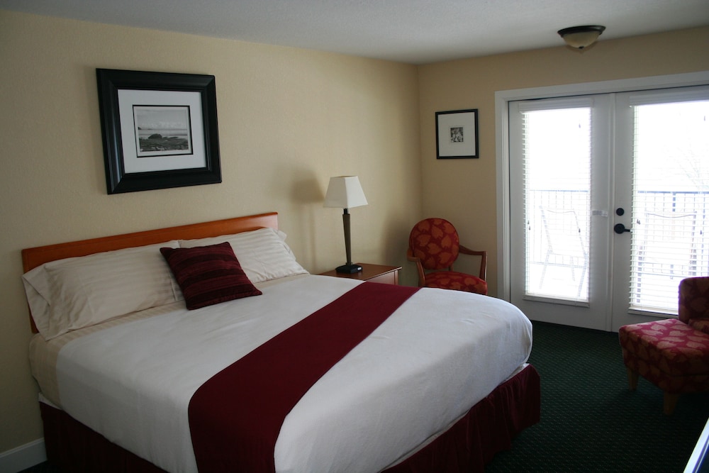 Standard Room, 1 King Bed, Refrigerator & Microwave, Lake View photo 1