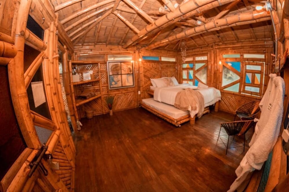 Premier Bungalow, Multiple Beds photo 3