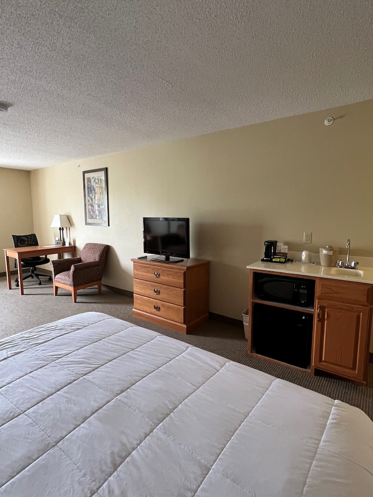 1 King Suite with Sofa bed photo 1