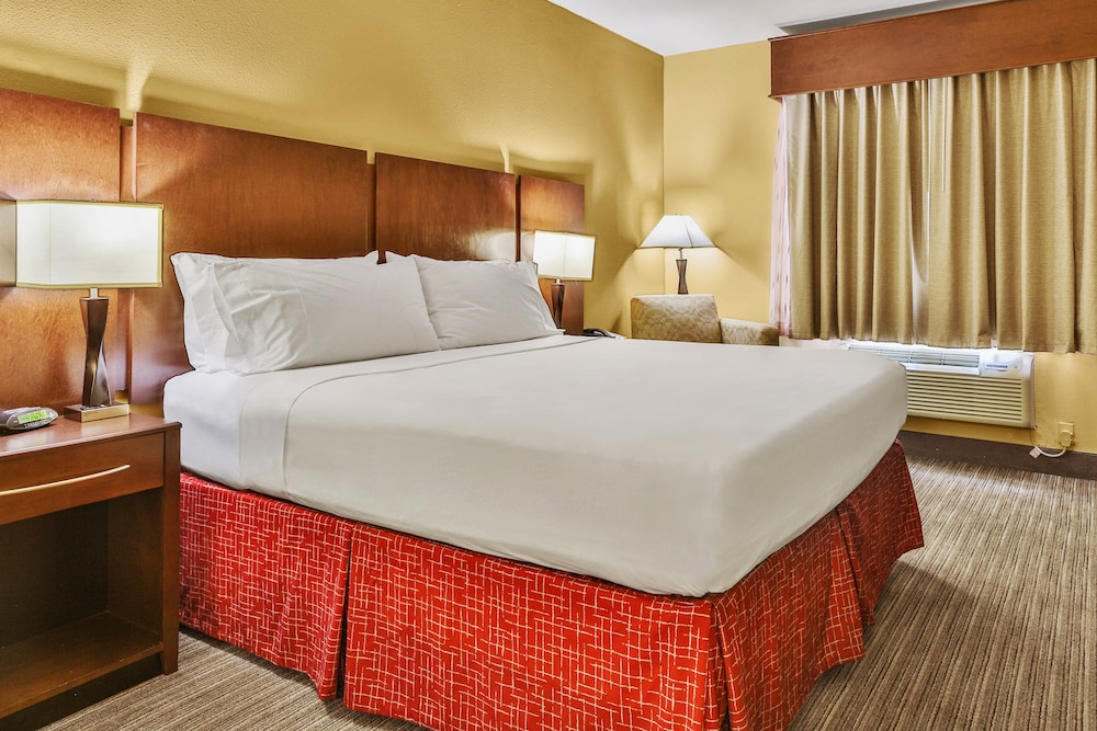 Standard Room, 1 King Bed, Accessible (Hearing, Mobility Tub)
