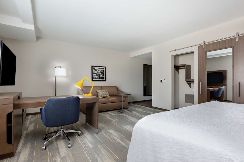 Suite, 1 King Bed, Accessible (Roll-In Shower, Hearing & Mobility)