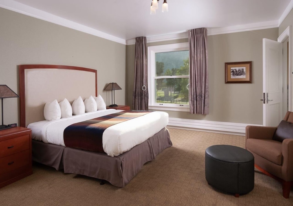 Deluxe Hotel Room 1 King