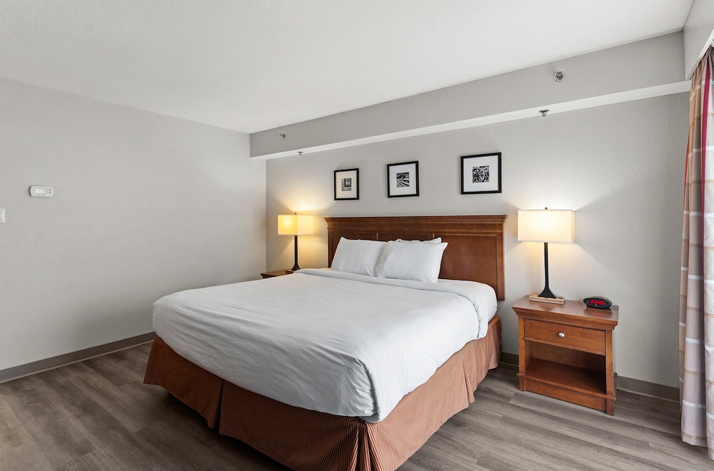 Suite, 1 Bedroom, Non Smoking - Photo 3