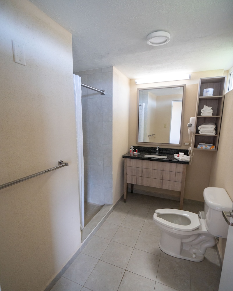 Single Room, 1 King Bed photo 3