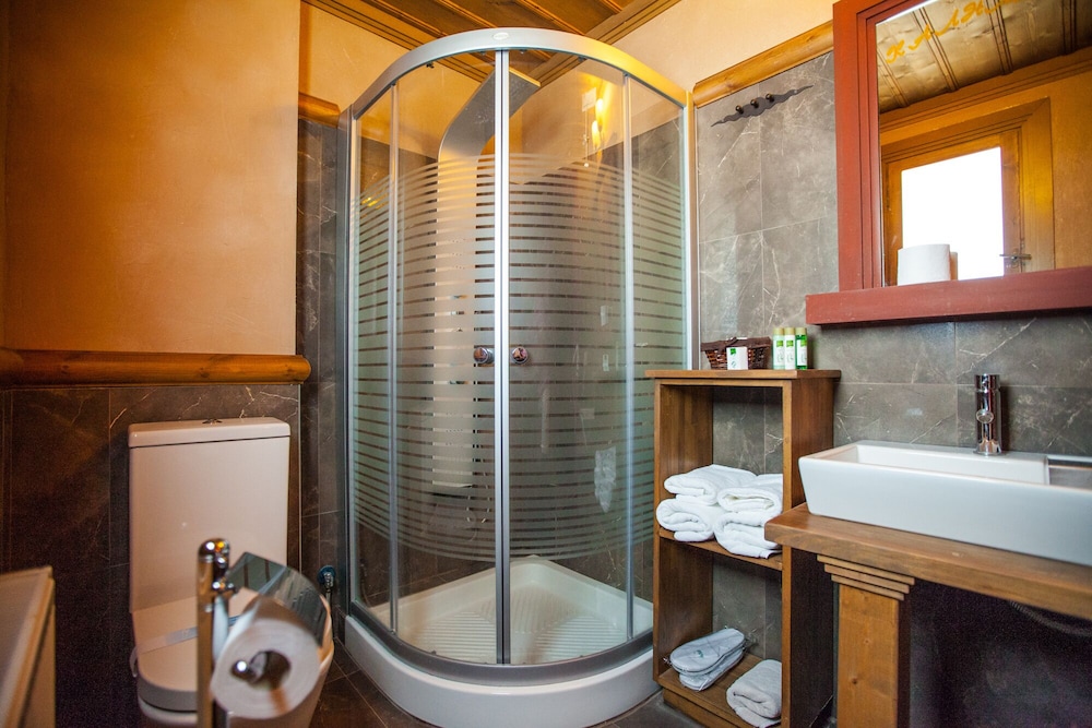 Premium Double or Twin Room photo 3