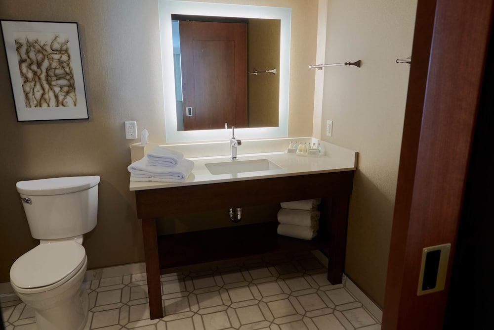 Executive Suite, 1 King Bed, Non Smoking (with Sofabed) - Photo 6