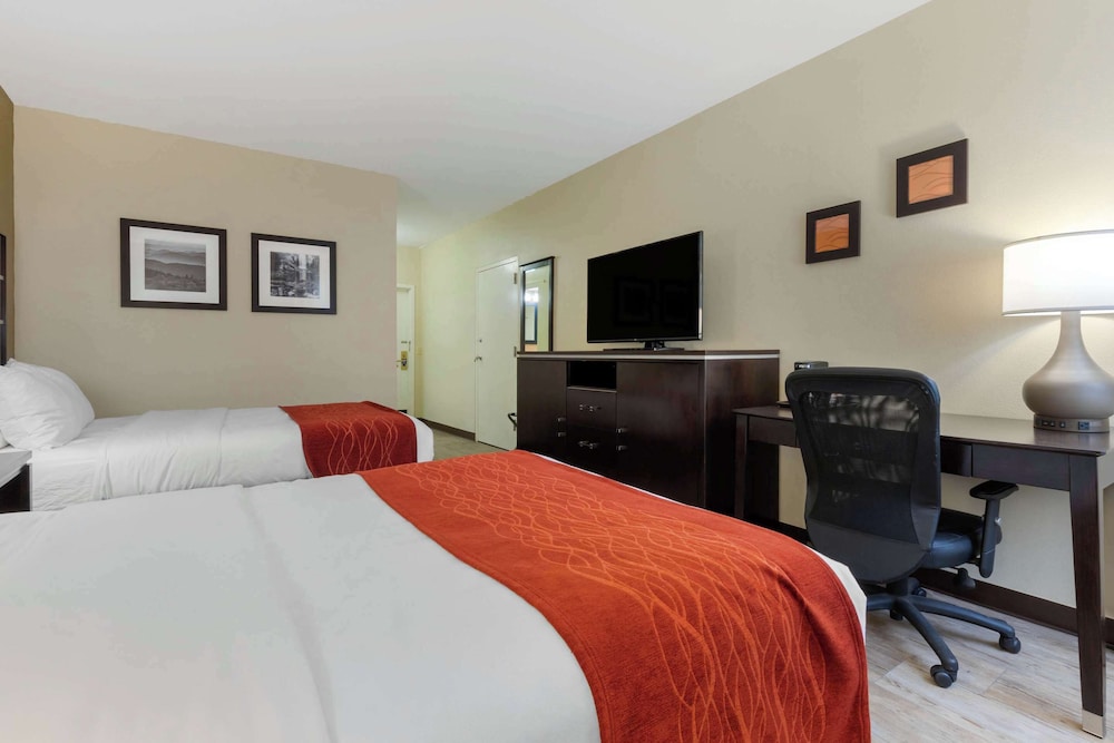 Room, 2 Double Beds, Accessible, Non Smoking - Photo 5