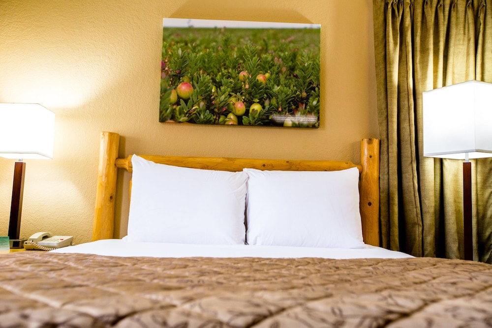 Room (Whitetail Guest Room) photo 1