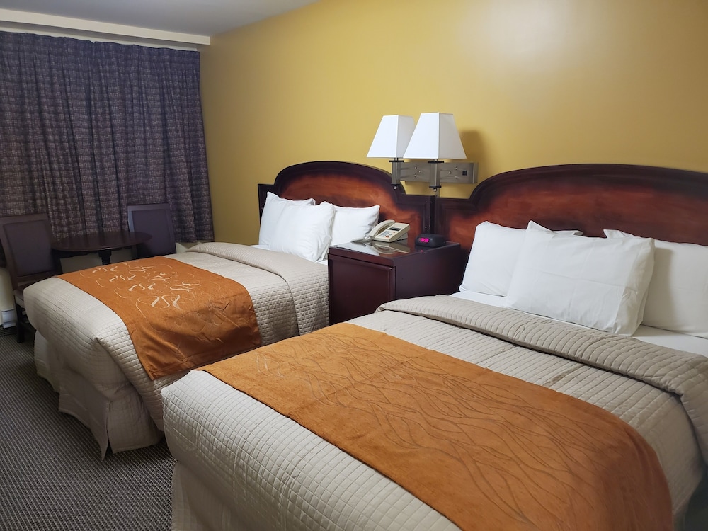 Room with 2 Double Beds Non Smoking Double Occupancy Rate: $10 extra for 3rd and 4th person photo 1