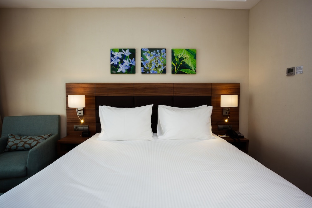 Room, 1 King Bed photo 2