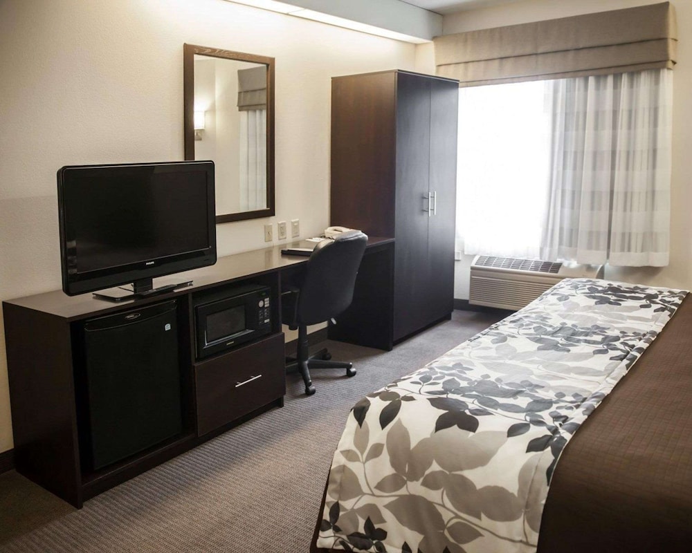 Suite, 1 King Bed with Sofa bed, Accessible, Non Smoking - Photo 4