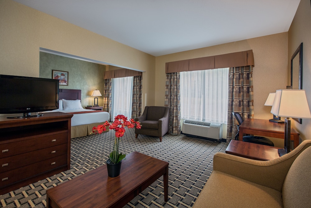 Suite, 1 Queen Bed photo 3