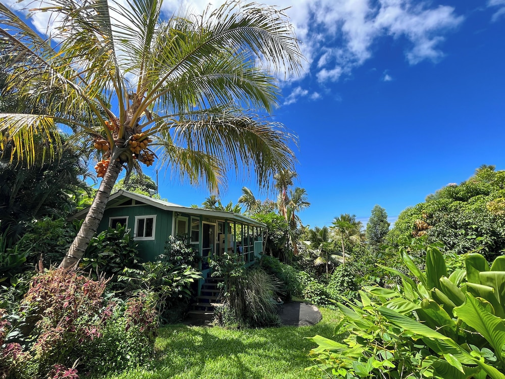 Garden Cottage photo 1