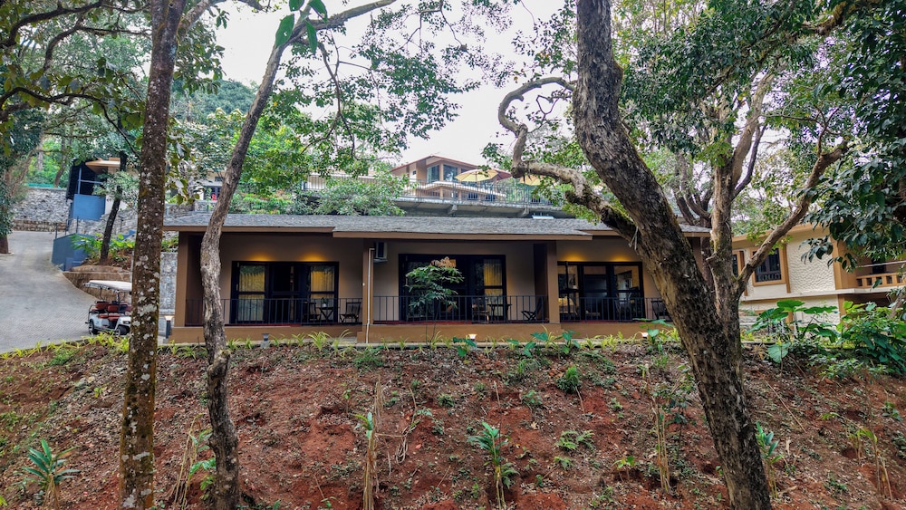 Fern Grove Cottage photo 3