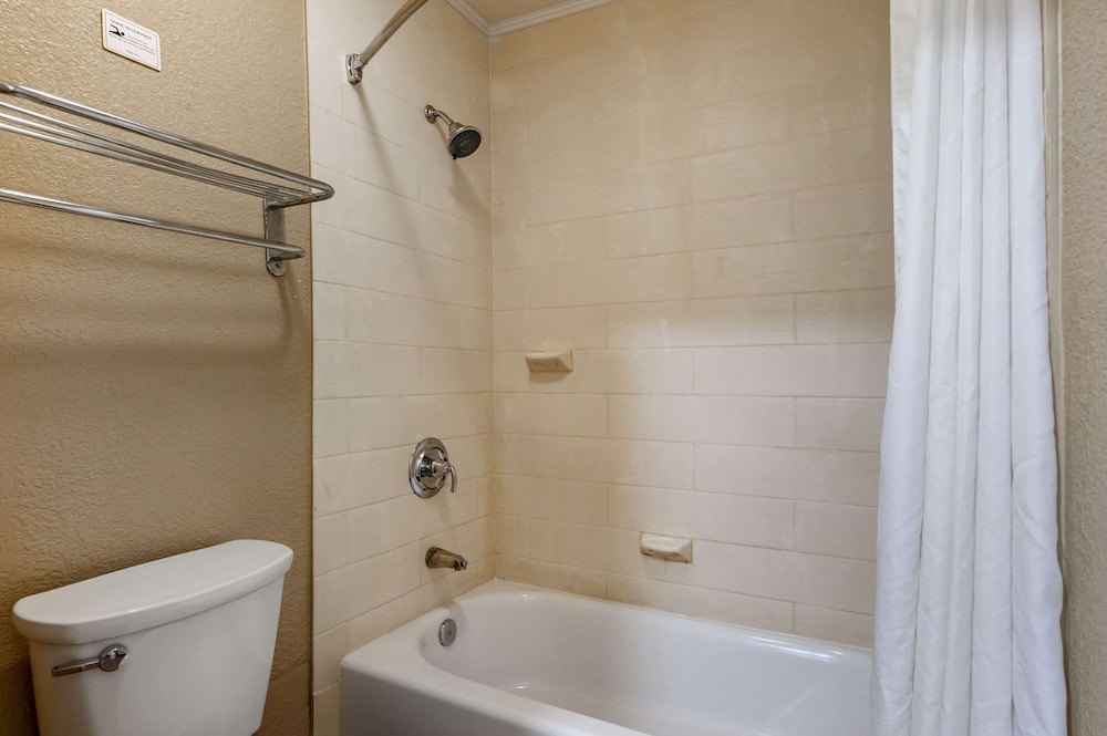 Standard Room, Multiple Beds, Non Smoking - Photo 5