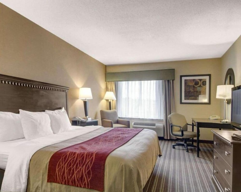1 King Bed Non Smoking photo 1