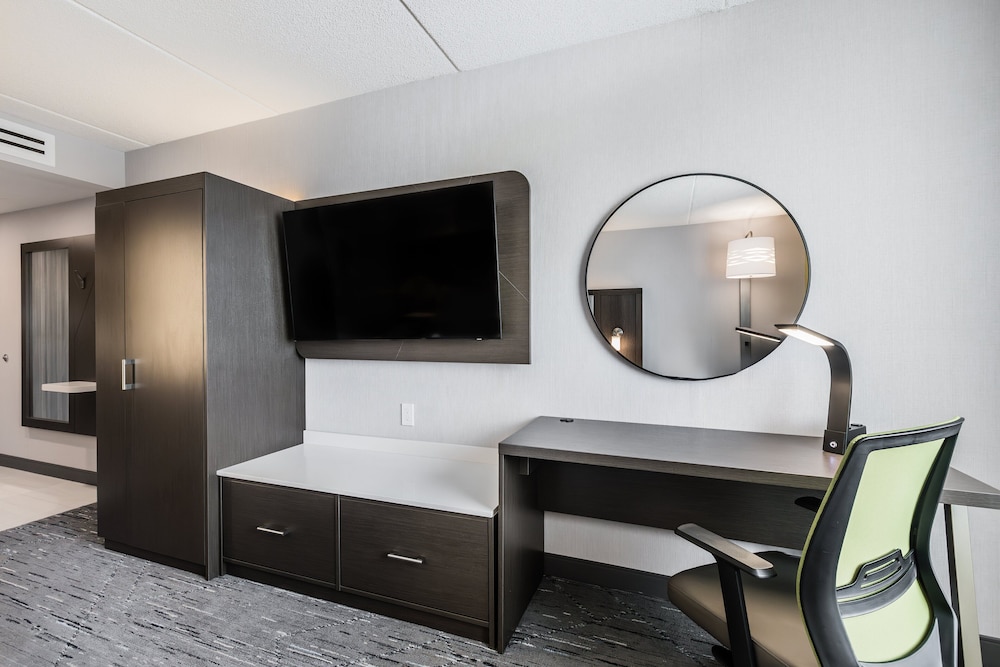 Suite, 1 King Bed with Sofa bed