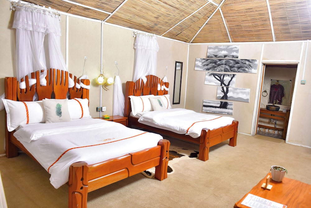 Deluxe Twin Room photo 1