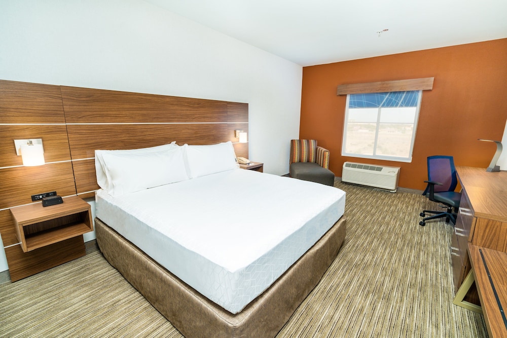 Suite, 1 King Bed - Photo 7