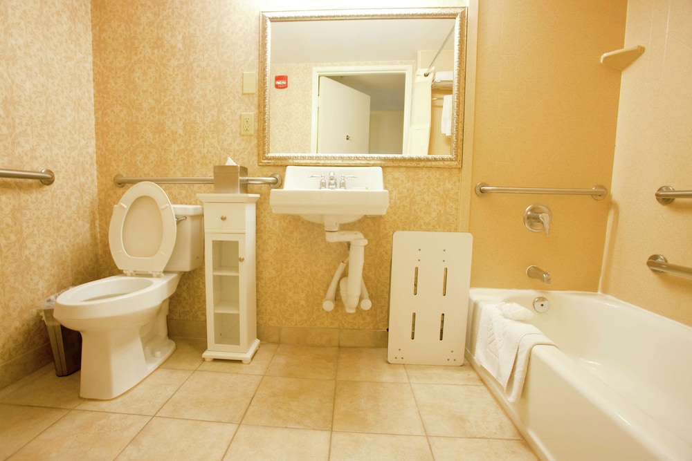 Junior Suite, 1 King Bed, Accessible, Non Smoking - Photo 7