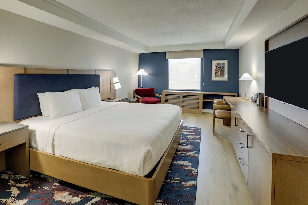 Business Single Room - Photo 1