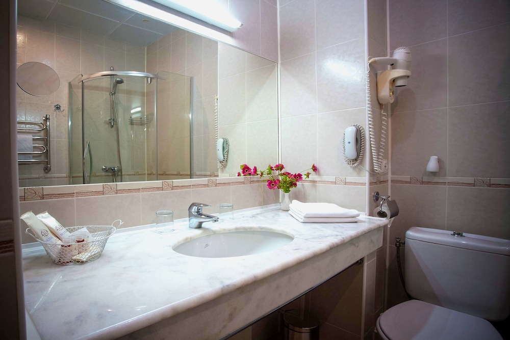 Business Double or Twin Room photo 3