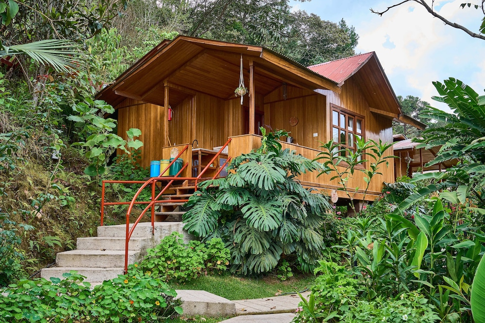 Bungalow (Triple) photo 1