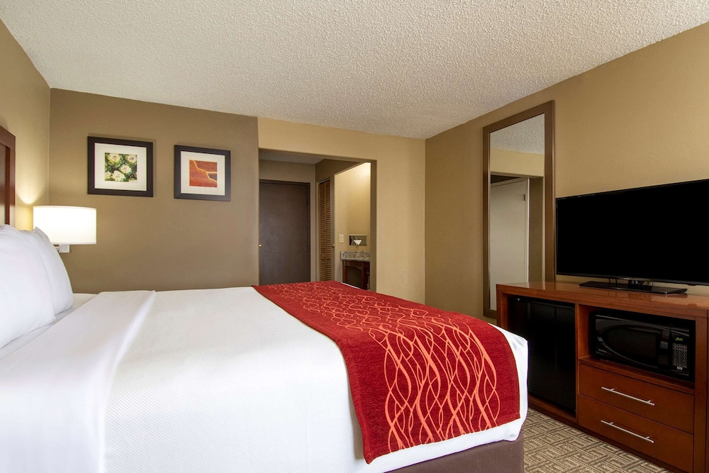 Standard Room, 1 King Bed, Non Smoking - Photo 3