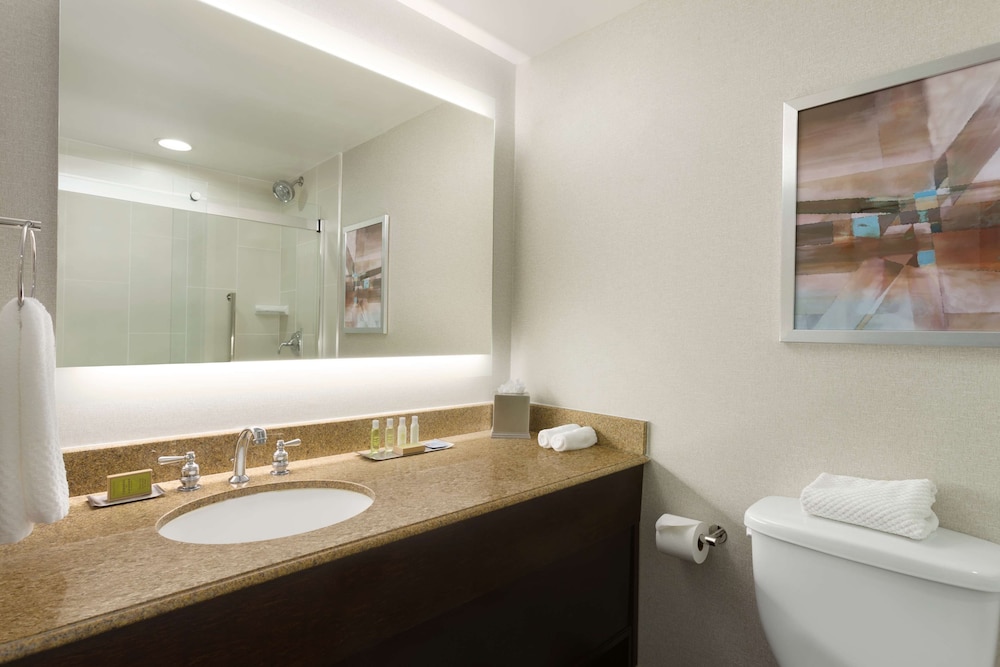 Suite, 1 King Bed, Non Smoking photo 3