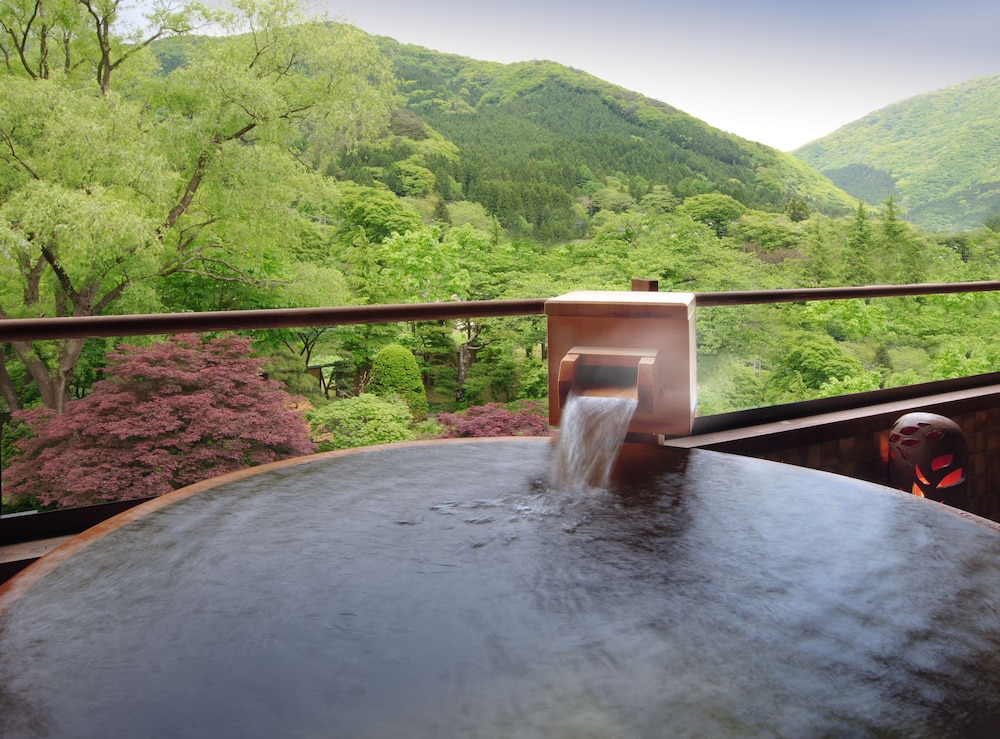 Japanese Style Twin Room with Hot Spring Bath, Non Smoking - 316 photo 2