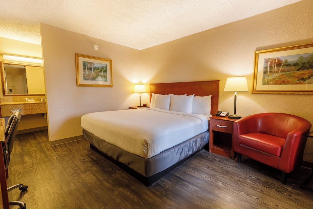 Room, 1 King Bed, Mobility Accessible photo 1