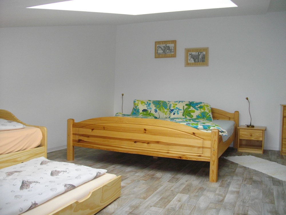 Family Apartment (IV)