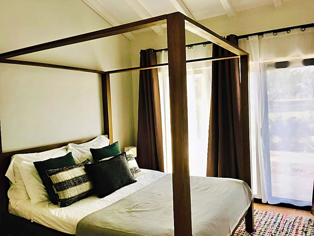 Suite (Alfazema)