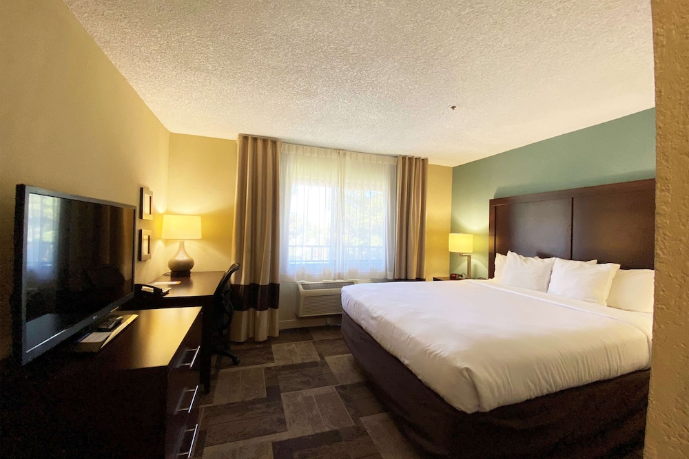 Studio Suite, 1 King Bed, Non Smoking - Photo 1