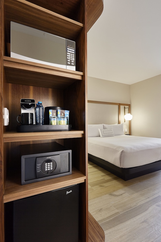 Suite, 1 Bedroom photo 3