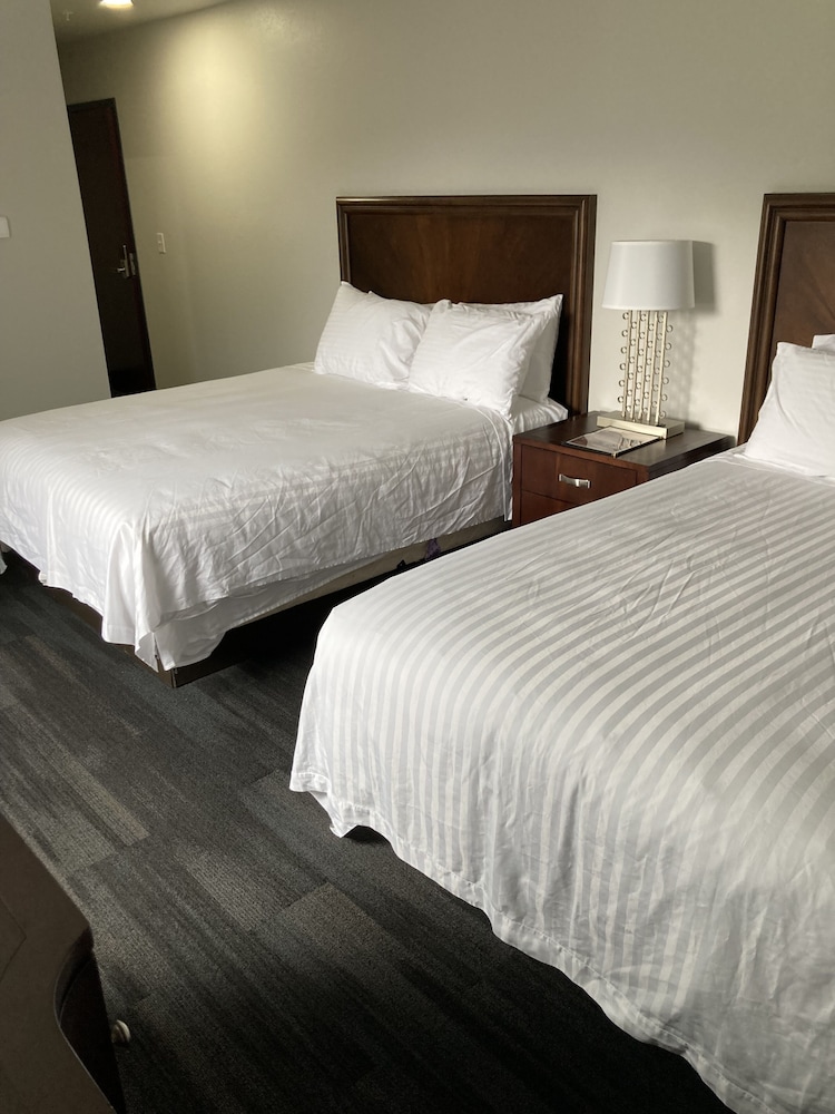 Room 214 - 2 Queen Beds photo 1