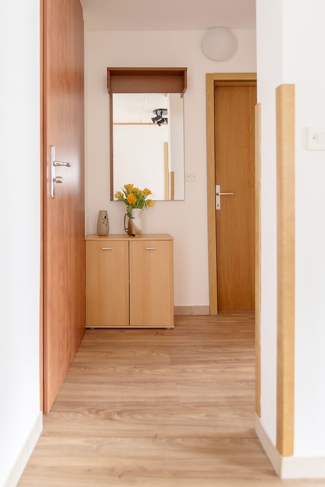 Family Apartment, 2 Bedrooms, Kitchen photo 2