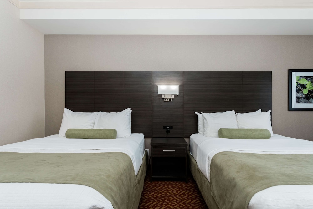 Standard Room, 2 Queen Beds, Refrigerator & Microwave, Tower (Larger Room) photo 2
