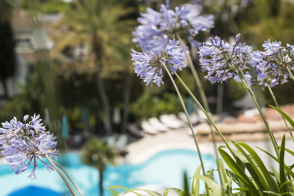 Garden Suite Garden Suite