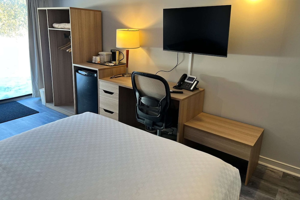 Standard Room, 1 Queen Bed with Sofabed, Second Floor photo 2