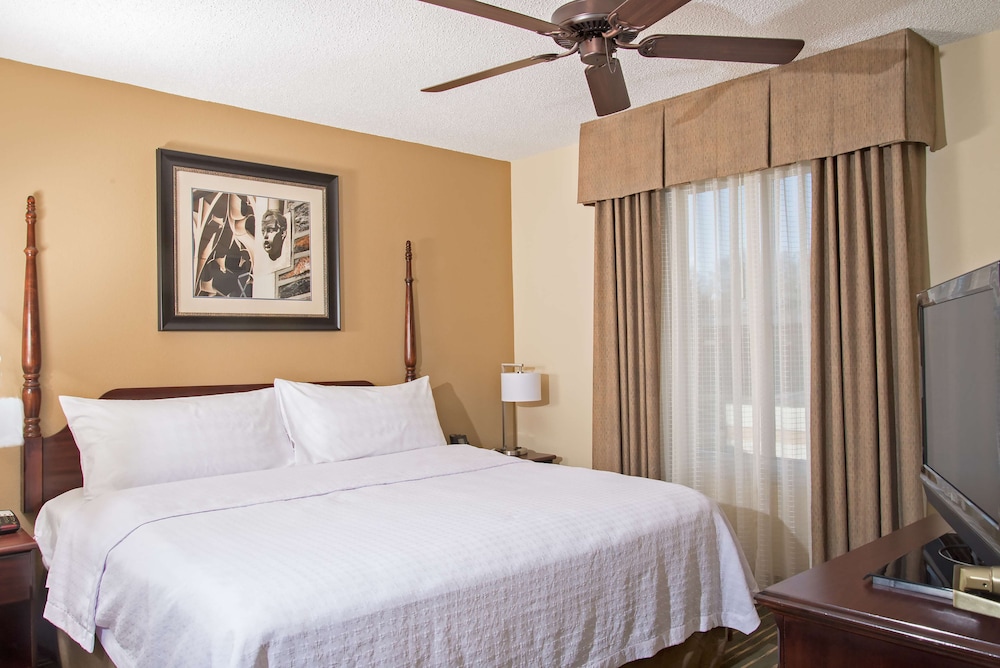 Suite, 1 King Bed photo 3