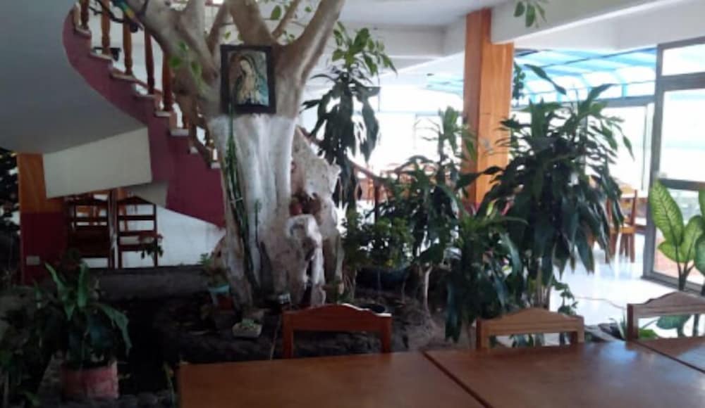 Basic Room photo 2