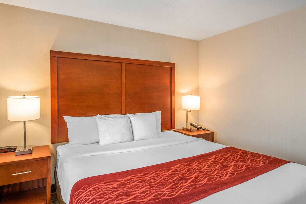 Suite, 1 King Bed, Non Smoking - Photo 1