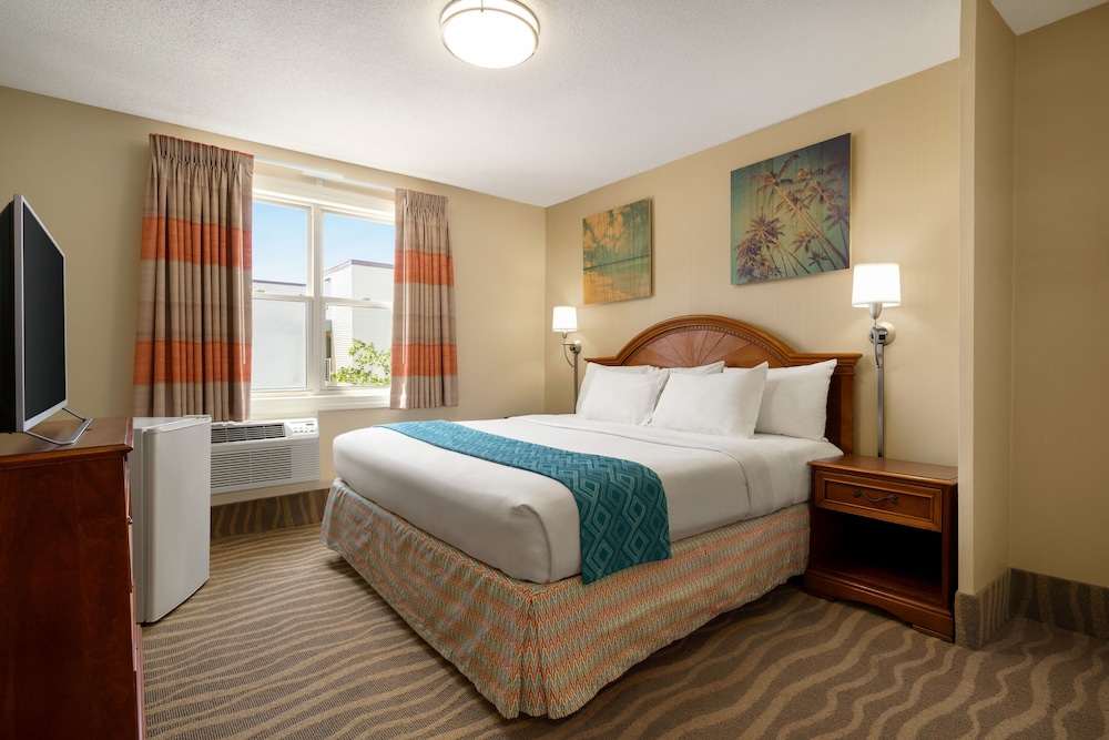 Side Room, 1 King Bed,  Non-Smoking photo 3