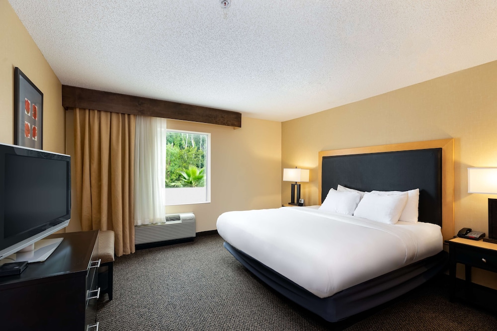 Studio Suite, 1 King Bed - Photo 3