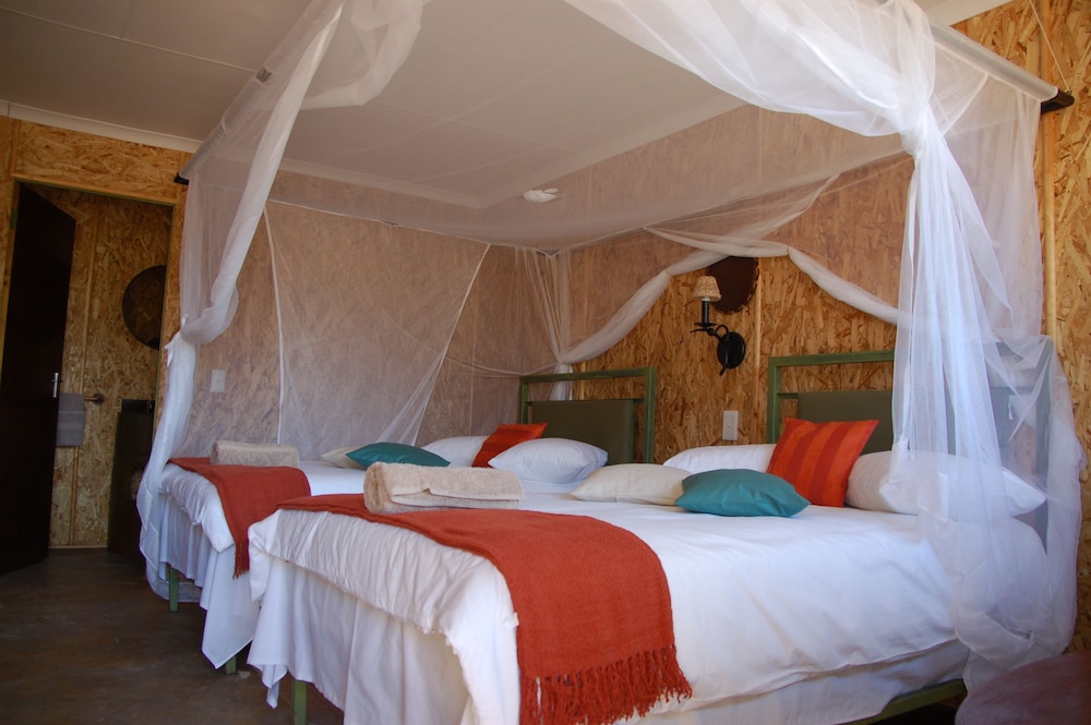 Twin Room photo 2