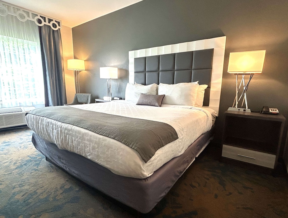 Standard Room, 1 King Bed, Accessible, Non Smoking - Photo 1