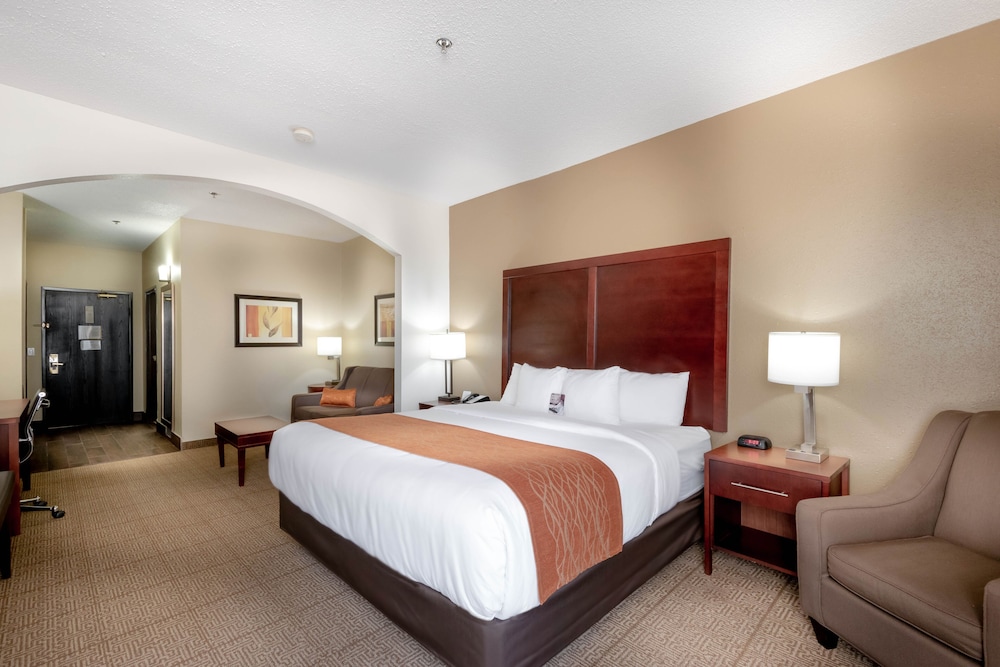 Suite, 1 King Bed with Sofa bed, Accessible, Non Smoking photo 1